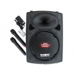 CHO THUÊ LOA KÉO TAY DI ĐỘNG GIÁ RẺ TẠI THÀNH PHỐ HỒ CHÍ MINH